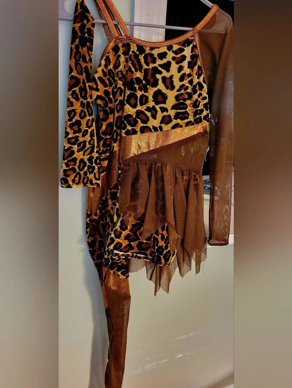 Leopard Print Brown Mesh Costume